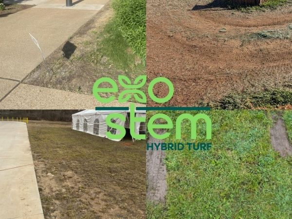 The problems ExoStem Solves