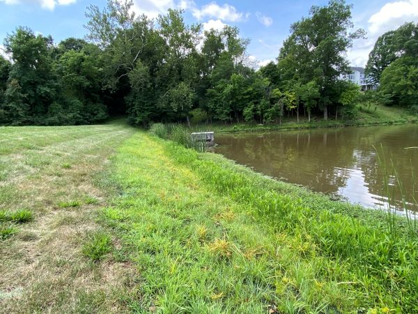 Vegetation through InstaTurf