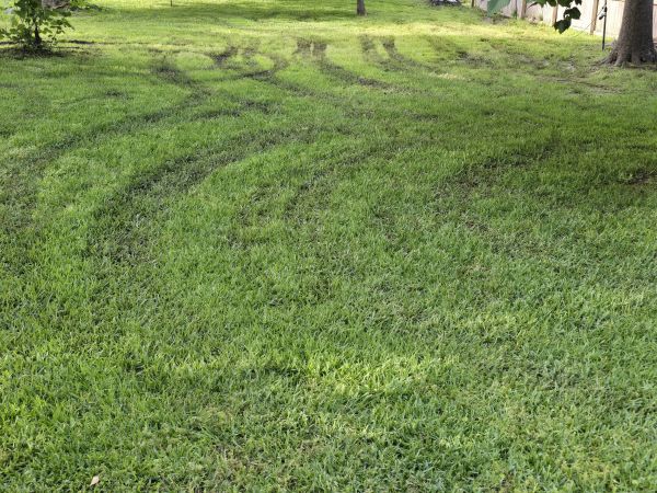 Many ruts in grass caused by mowers