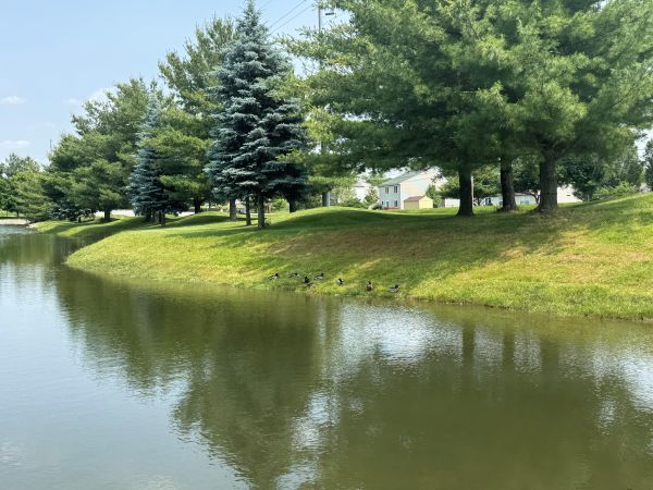 Park Pond Protected by InstaTurf