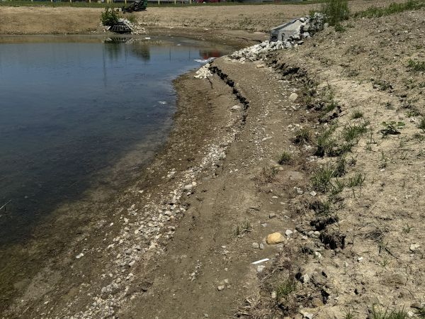 Erosion along pond bank